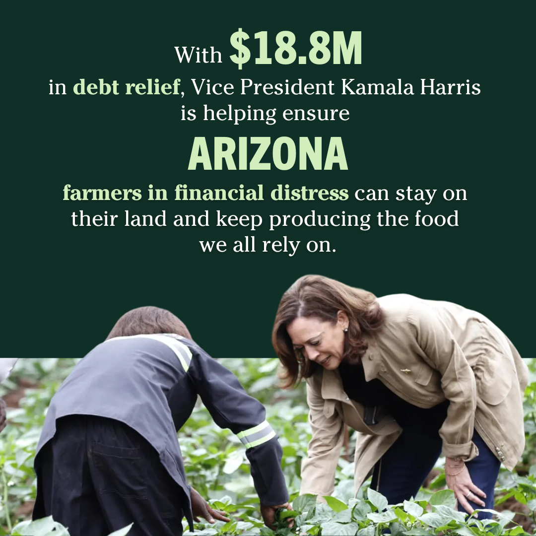 The_Democrats_-_20241015_AZ_FarmDebt_Image_1_DC.png